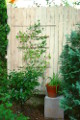 Sichtschutzzaun aus -Staketen Premium- und Querriegeln, Rankhilfen für Kletterpflanzen zur hübscheren Optik im Garten