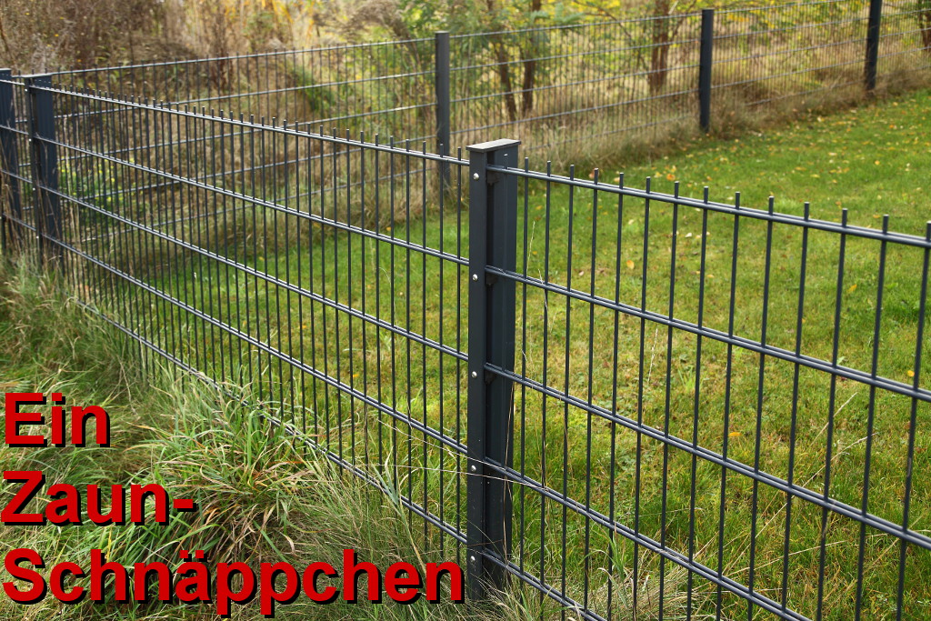 Doppelstabmatten - Zaunfelder in 200cm Breite, ab 25,99EUR