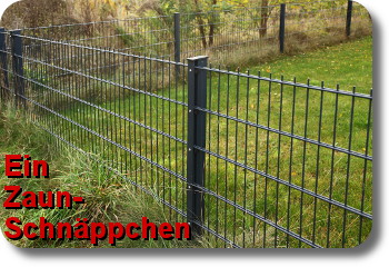 Doppelstabmattenzaun - System, Zaunfelder, Doppeltor, Tür, Pfosten und Zubehör. Alles zum eigenenen Gartenzaun